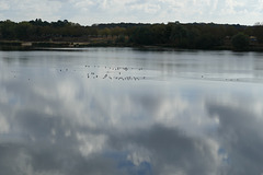 Dans les nuages ou sur l'eau ?