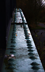 On The Bridge....In Blue