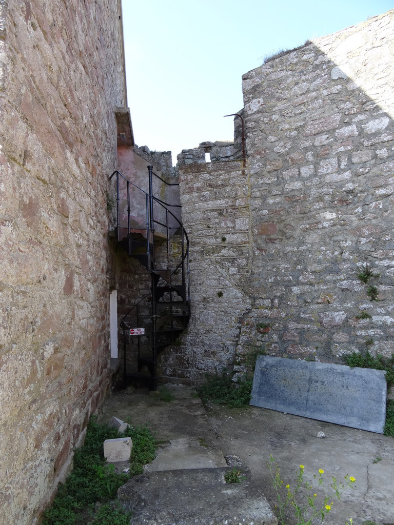 aysep2019tn (1036)