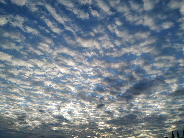 Nubes de algodón