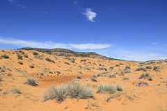 Coral Pink Sand Dunes State Park, Utah