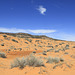 Coral Pink Sand Dunes State Park, Utah