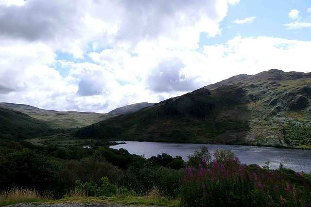 Battle of Glen Trool