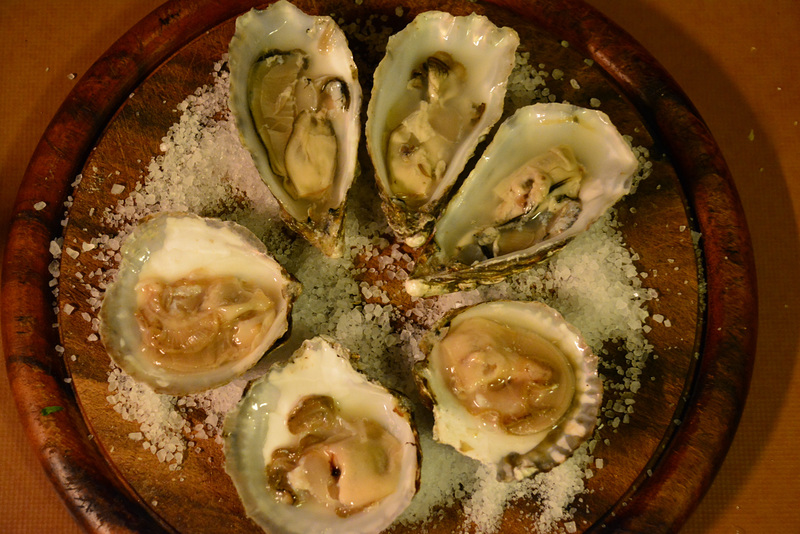 Oysters