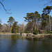 Озеро в дендропарке / Protected Area of Askania-Nova. Lake in the Arboretum.
