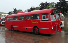 Preserved former Midland Red 5905 (PHA 505G) - 27 Jul 2019 (P1030296)