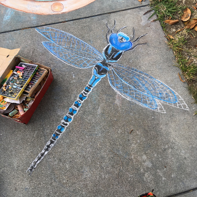 Pandemic chalk: Dragonfly