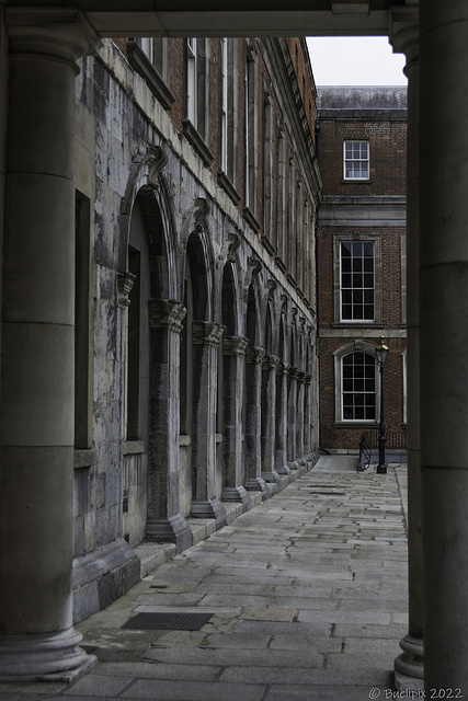 Dublin Castle (© Buelipix)