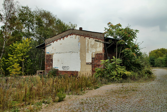 Bahnhof Gelsenkirchen-Wattenscheid, alter Güterschuppen / 24.09.2022