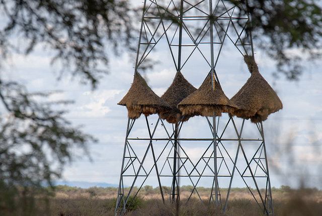 Namibia 2019