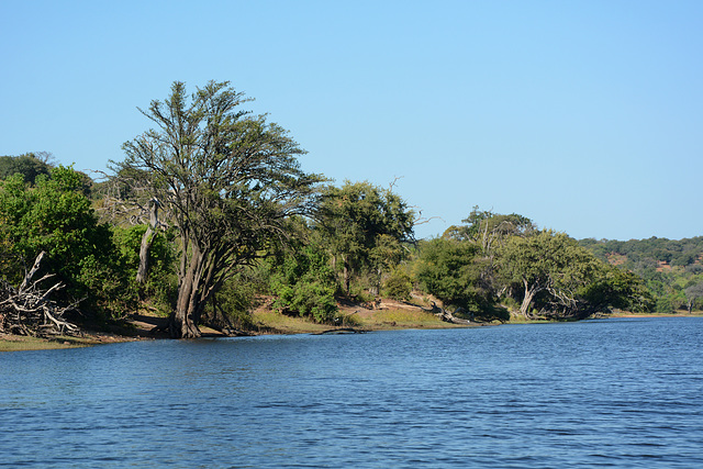 Botswana, The Chobe River Landscape