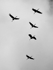 Flying by.........