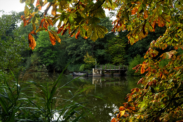 Pier across the lake