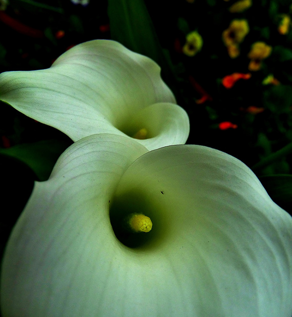 DSC09150