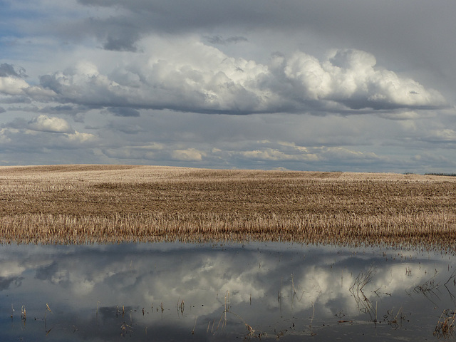 Storm approaching