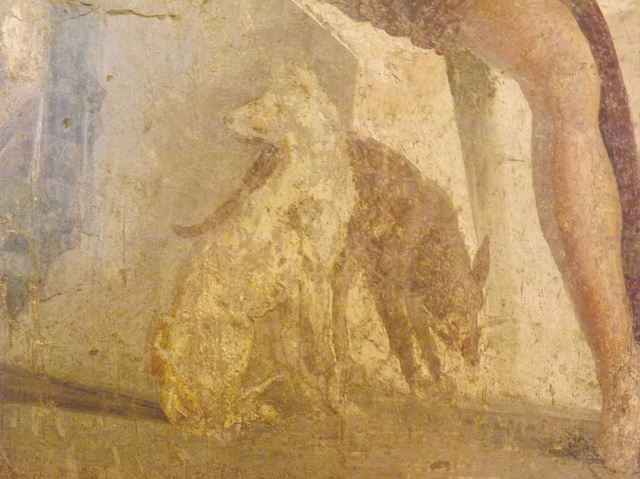 Detail of a Wall Painting with Meleager and Atalanta Resting from the House of the Centaur in Pompeii in the Naples Archaeological Museum, July 2012