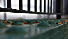 On The Bridge....In Blue
