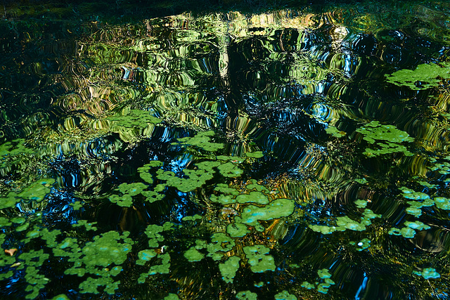 Reflection 6