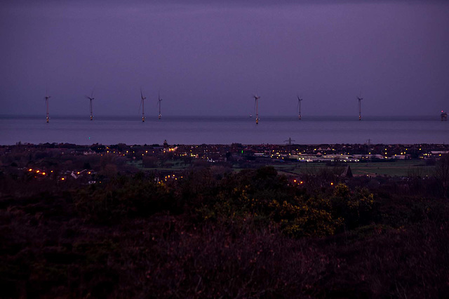 Dawn at Thurstaston Hill3