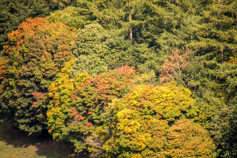 Autumn colours7