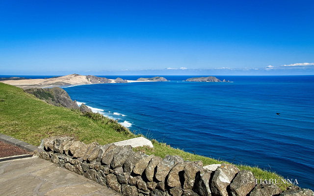 Across the Tasman