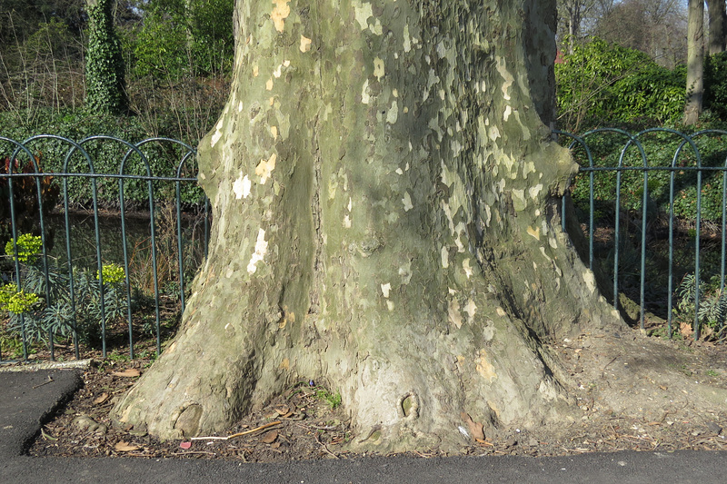 lloyd park, walthamstow, london