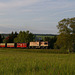 BÖ0009371