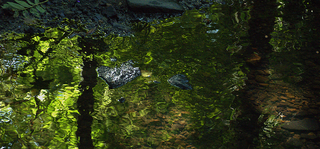 Reflection 5