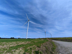 La tête dans le vent / Head in the wind [EXPLORER]