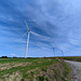 La tête dans le vent / Head in the wind [EXPLORER]