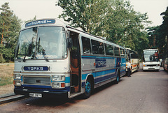 York Brothers RBD 287Y (FNM 710Y, SYK 901) at Barton Mills - Aug 1995