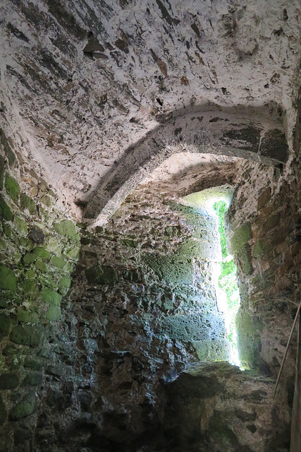 trematon castle (18)