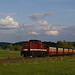 BÖ0005392