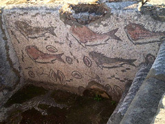 Roman tiles of the frigidarium's pool.