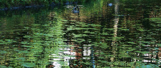 Reflection 4