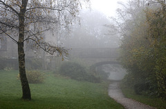 A misty Sunday walk in Autumn