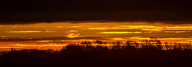 Dawn at Thurstaston Hill5