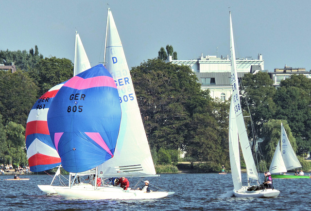 Rot&Blau: Regatta auf der Außenalster