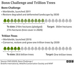 clch - Bonn Challenge and Trillion Trees Projects