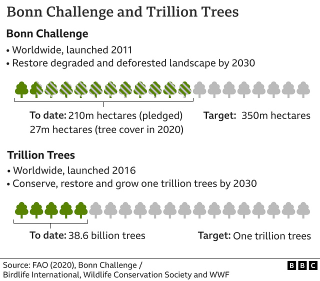 clch - Bonn Challenge and Trillion Trees Projects