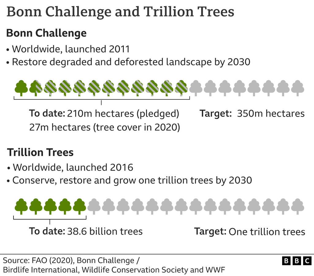 clch - Bonn Challenge and Trillion Trees Projects