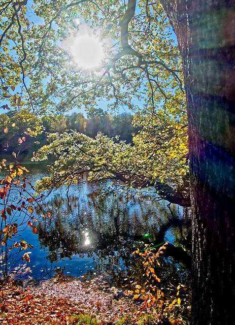 Chemnitzer Stadtpark