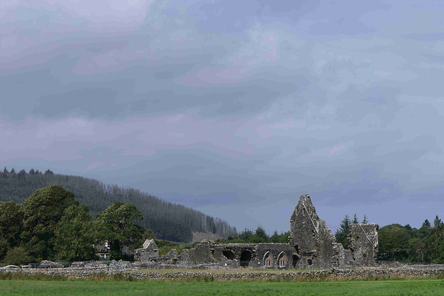 Glenluce Abbey