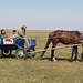 Поездка по заповедной степи / A trip to the protected steppe is allowed only on a cart with horse