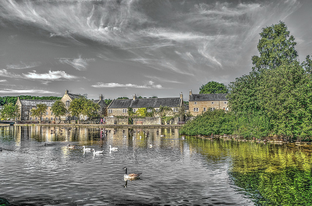 River Wye. Bakewell  / July 2015