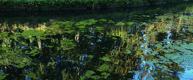Reflection 2