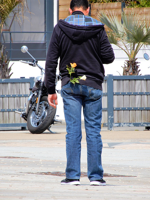 l'homme à la rose,,,,