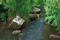 Au moulin d'Audenfort