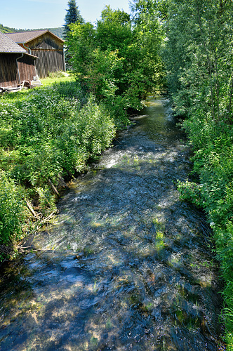 Die Ammer bei Unterjesingen