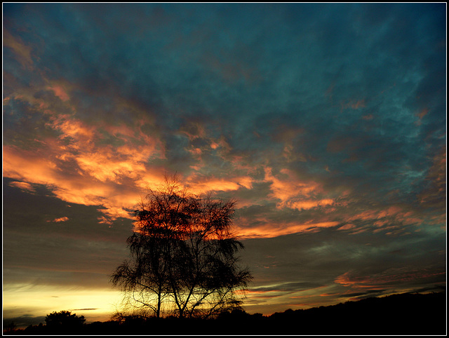 Multicolor sunset